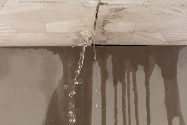 Professional Structural Drying technician working in Middle Village, NY